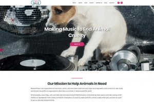 Musical Paws website design project